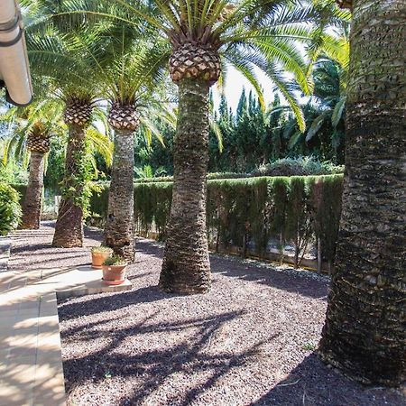 Finca Pepe 2 Hotell Denia Exteriör bild